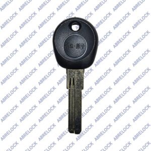 Duplicado llave Punto China